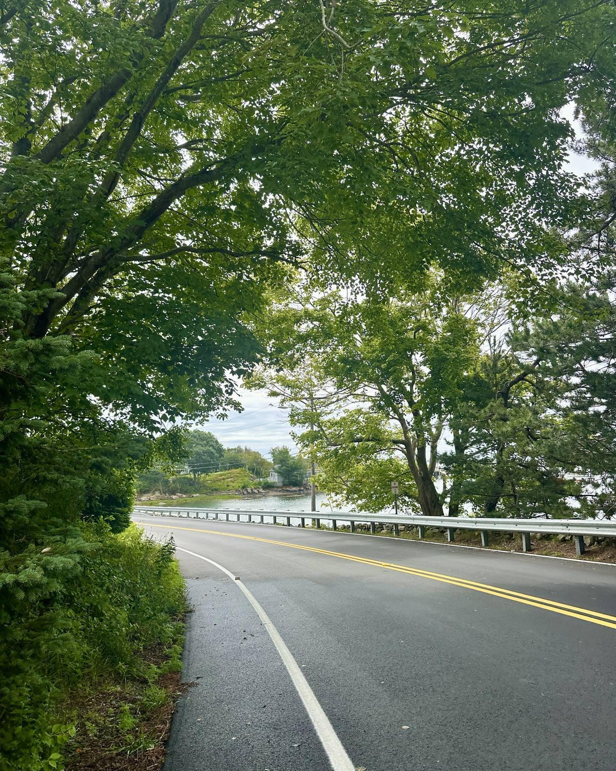 Pier Road curving toward Bickford's Island under a canopy of trees, with the harbor and a guardrail on the right.